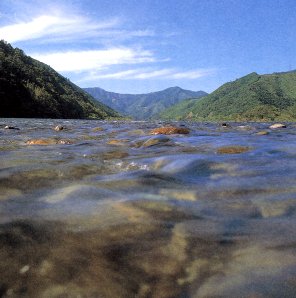 水澄み、味わいすむ。